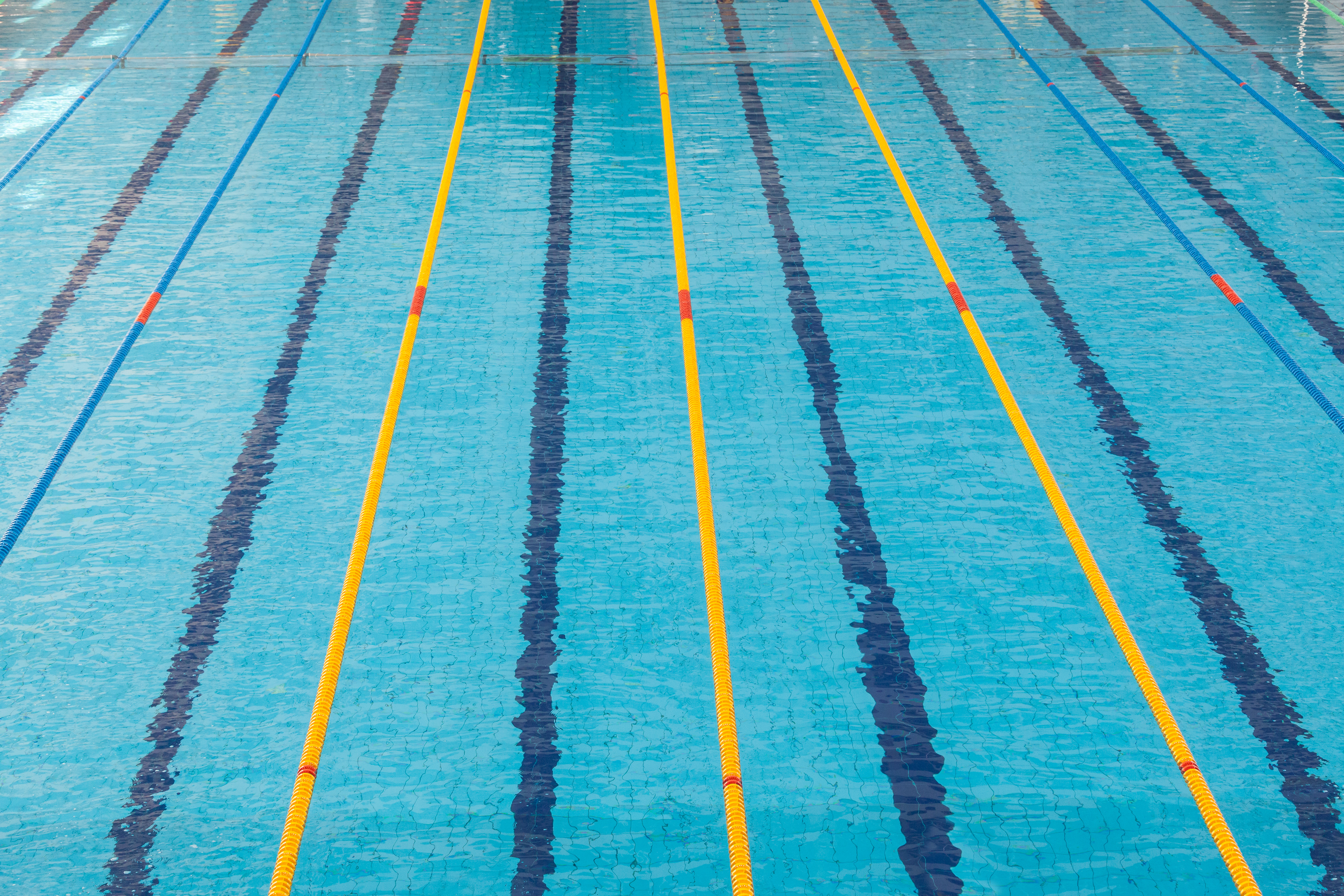 Swimming lane dividers