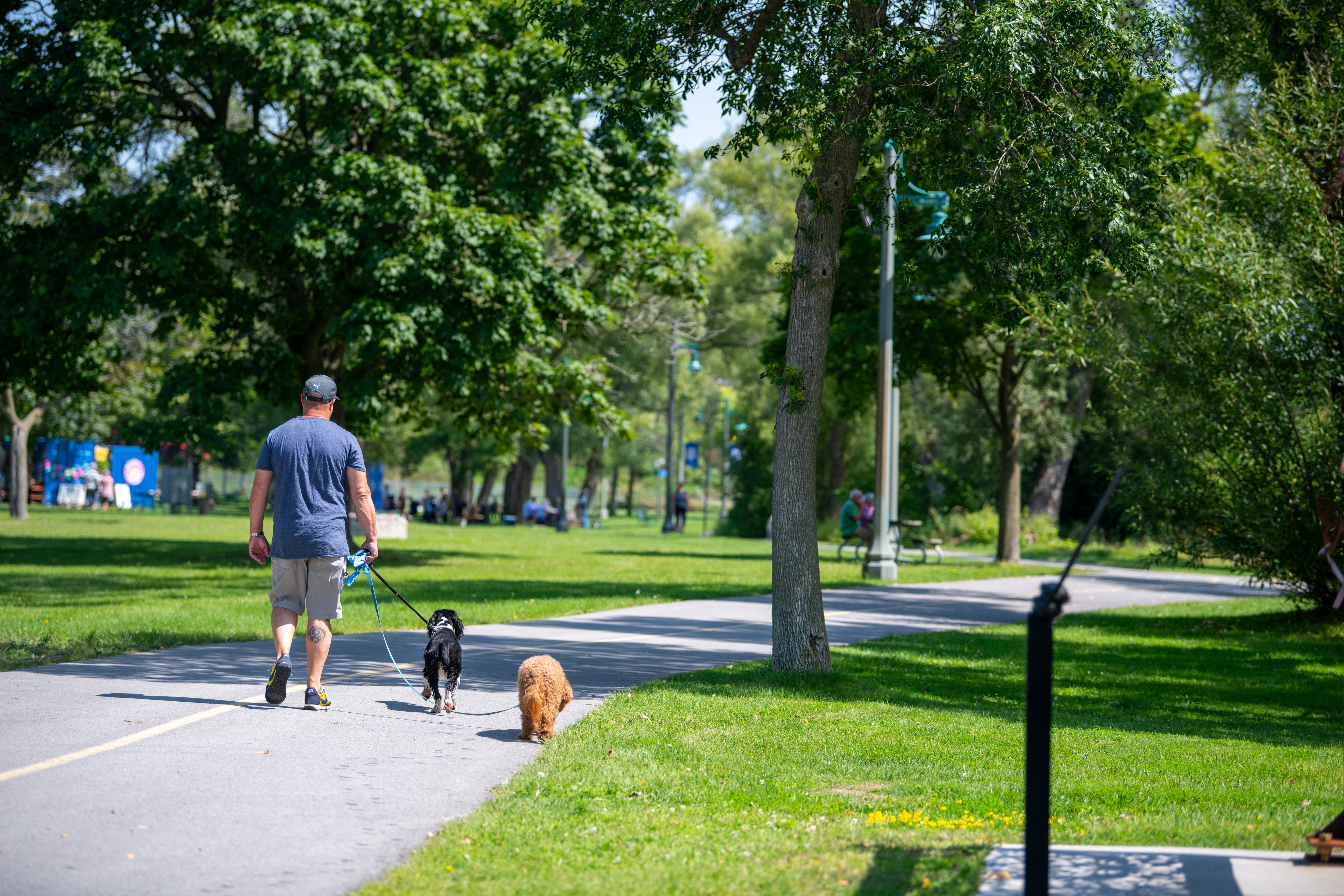 Man walking dog on Bayshore trail