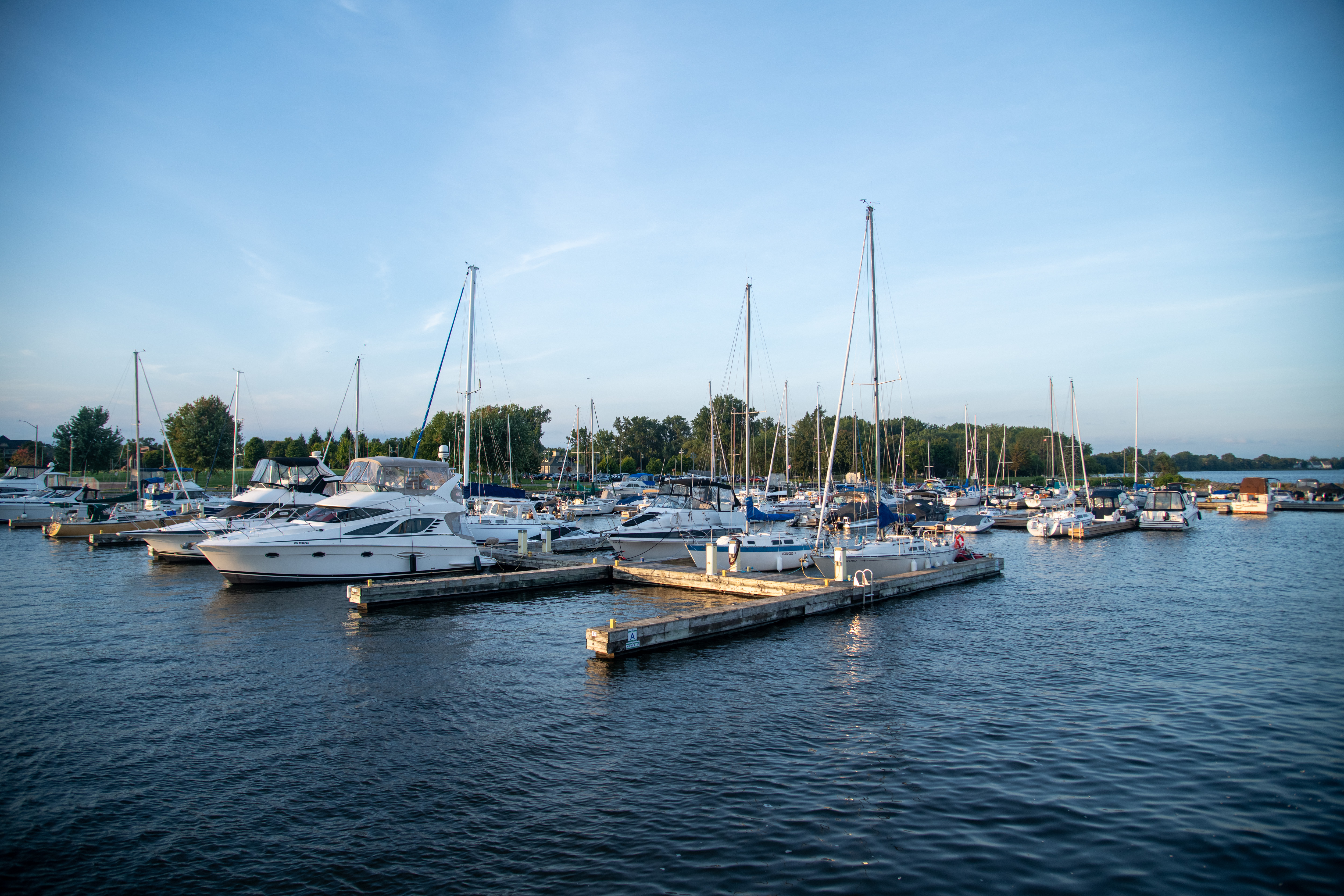 Boats docked at Victoria Harbour