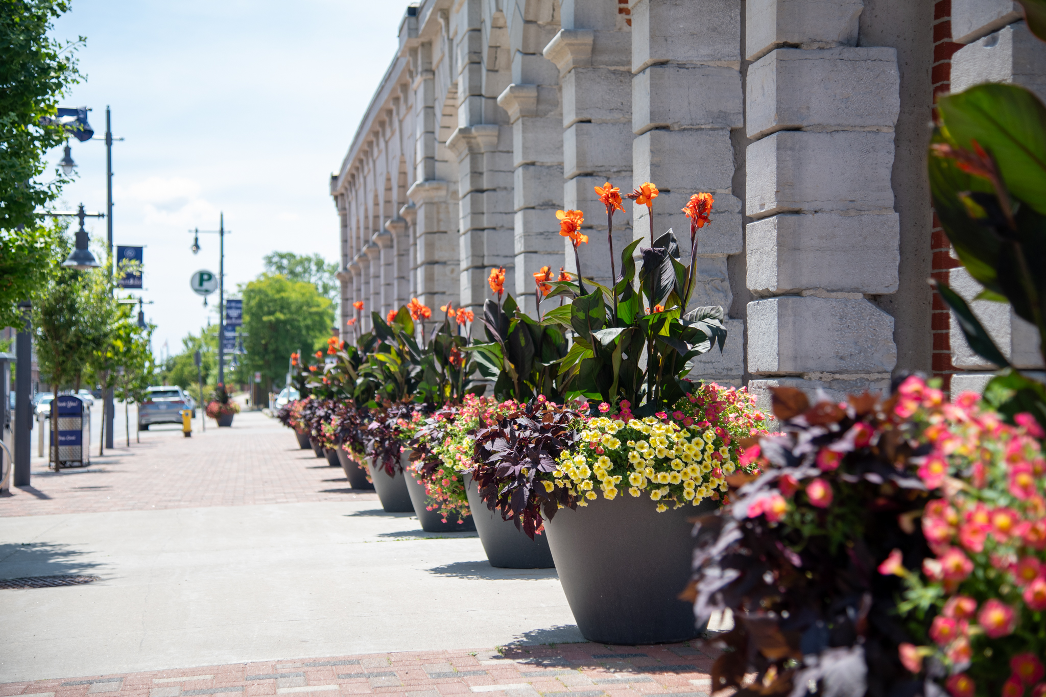 Flower planters along Front Street