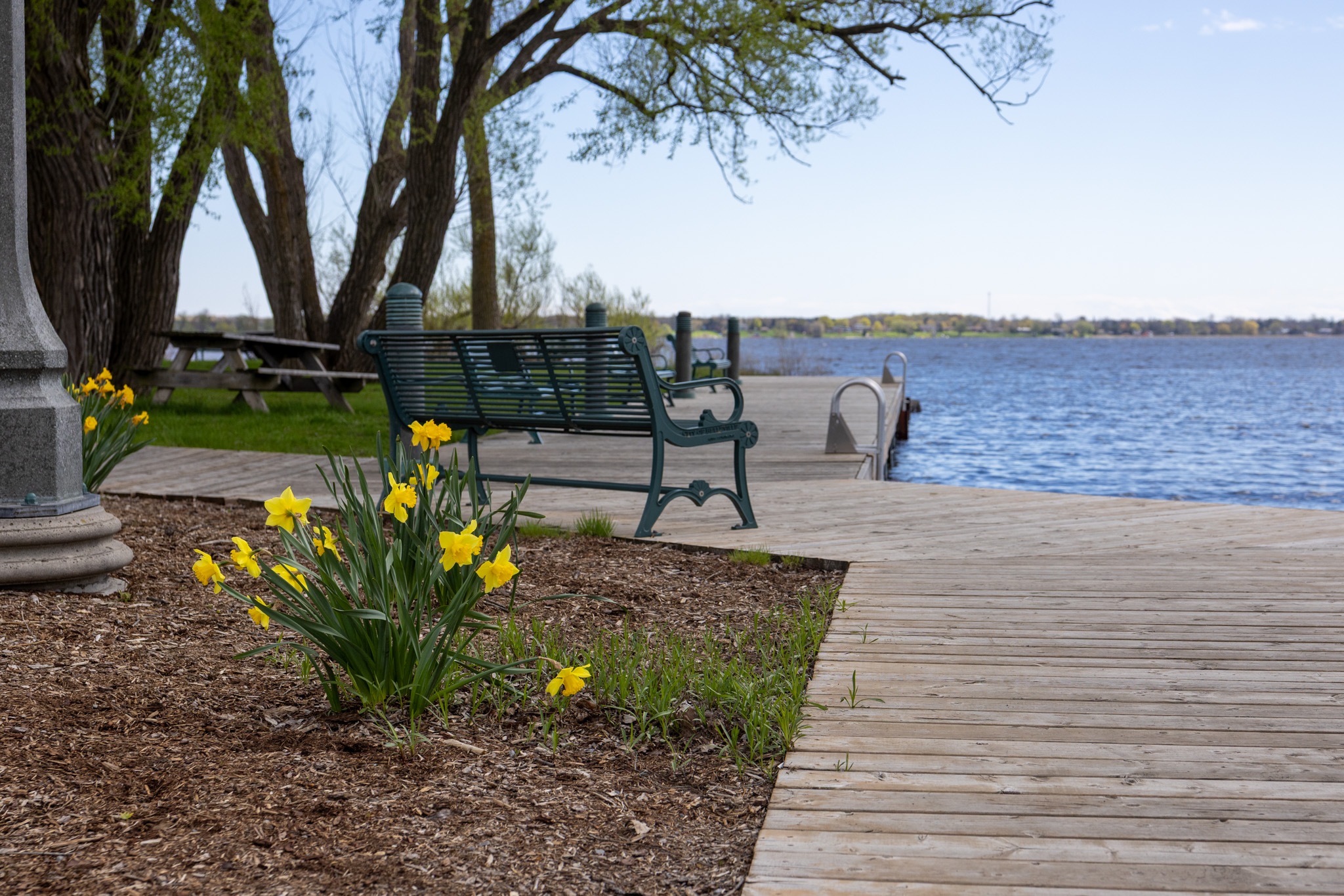 Memorial bench along Bay of Quinte