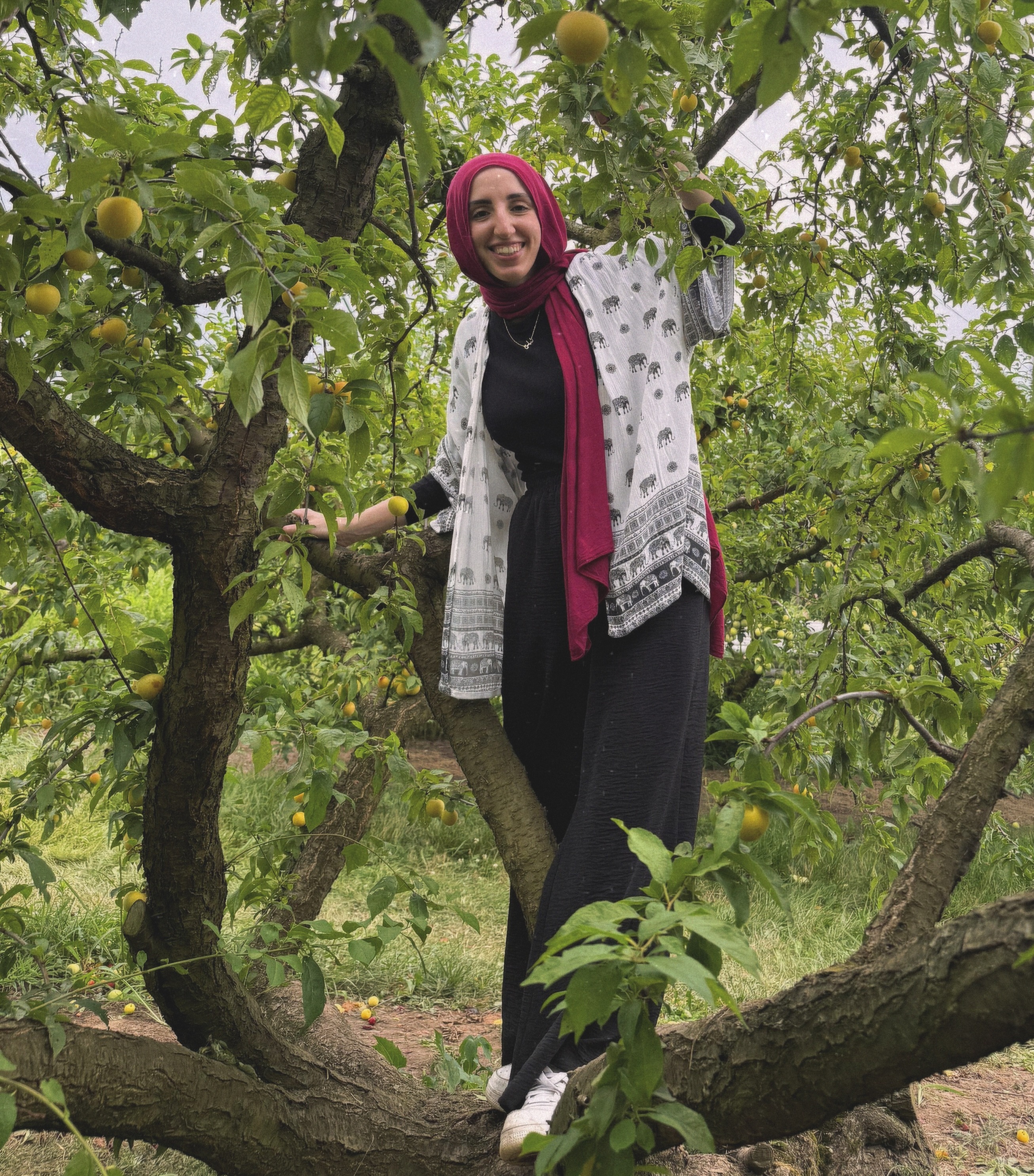 Dr. Toqa Elkashef