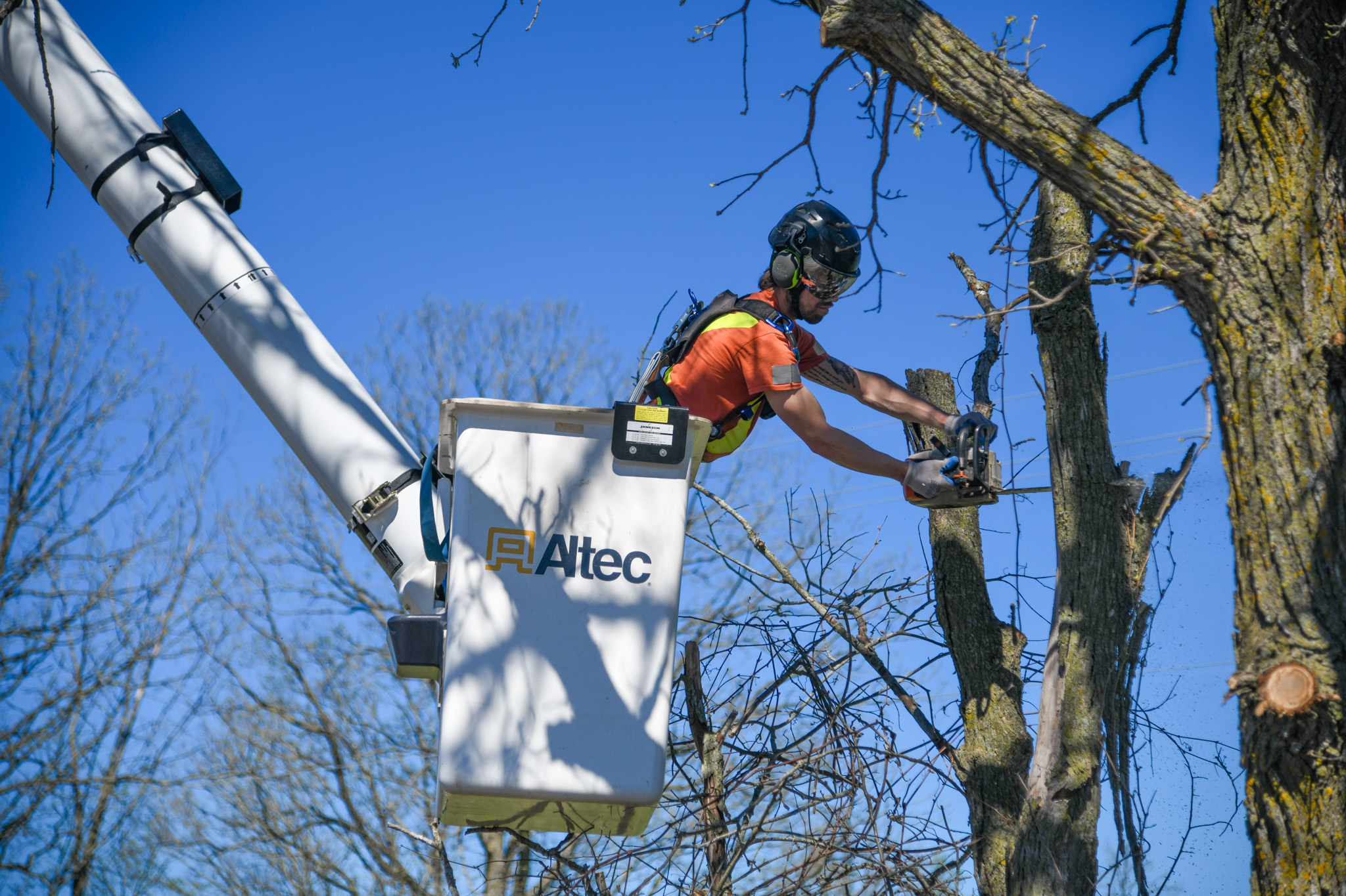 Staff trimming tree from bucket truck