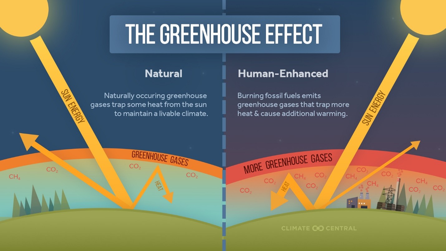 Greenhouse Effect