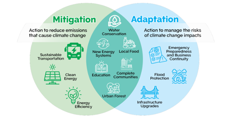 Mitigation and Adaptation