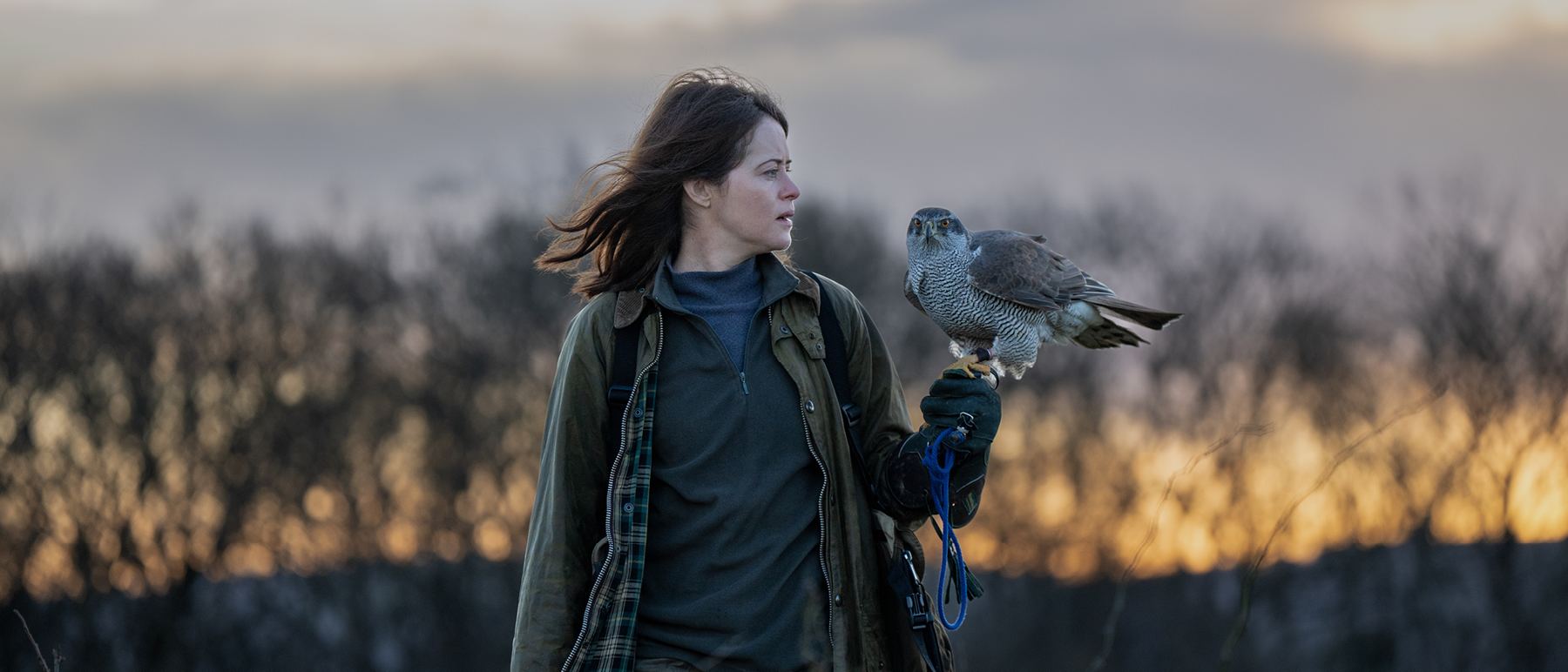 Woman holding a hawk