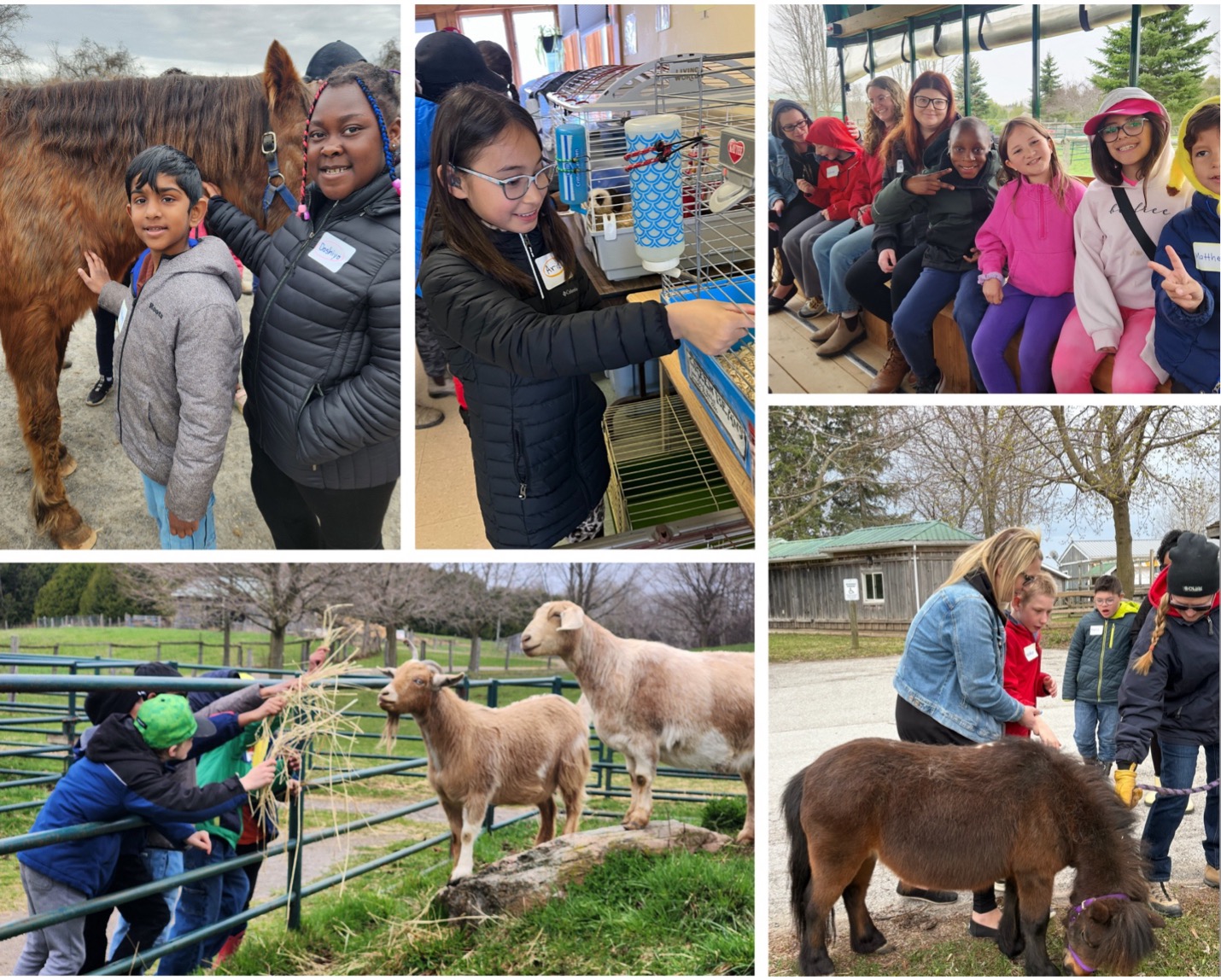 WindReach Farm