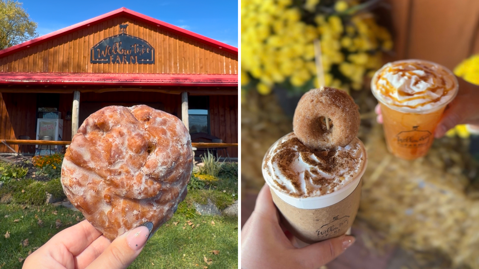 Apple fritter and fall drinks from Willowtree Farm in Scugog, Ontario