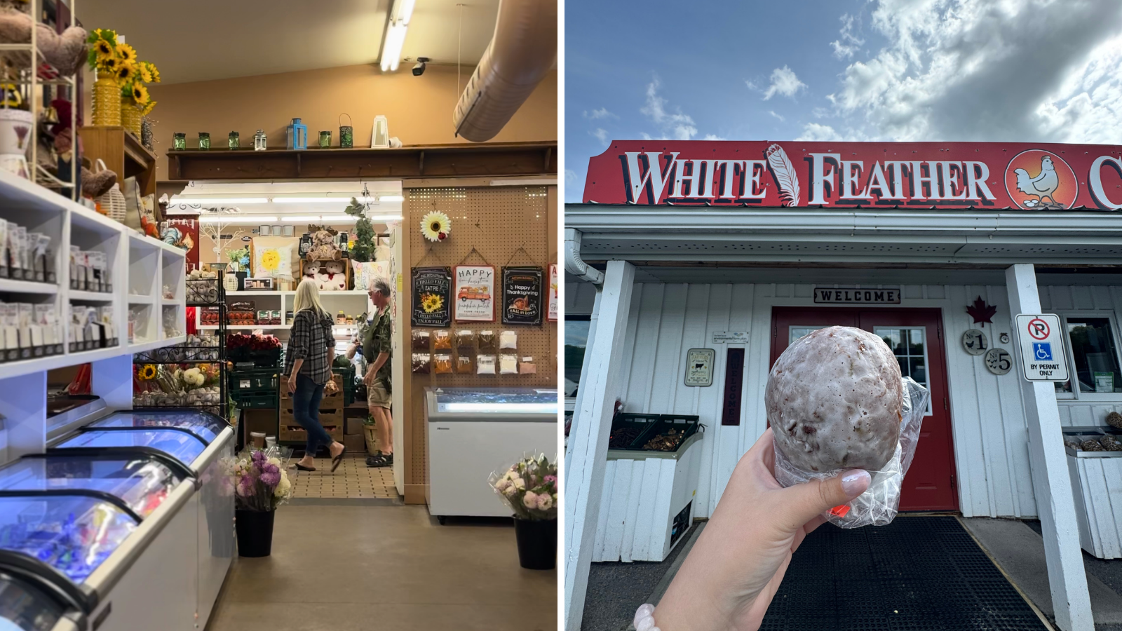 Apple fritters from White Feather Country Store in Oshawa, Ontario
