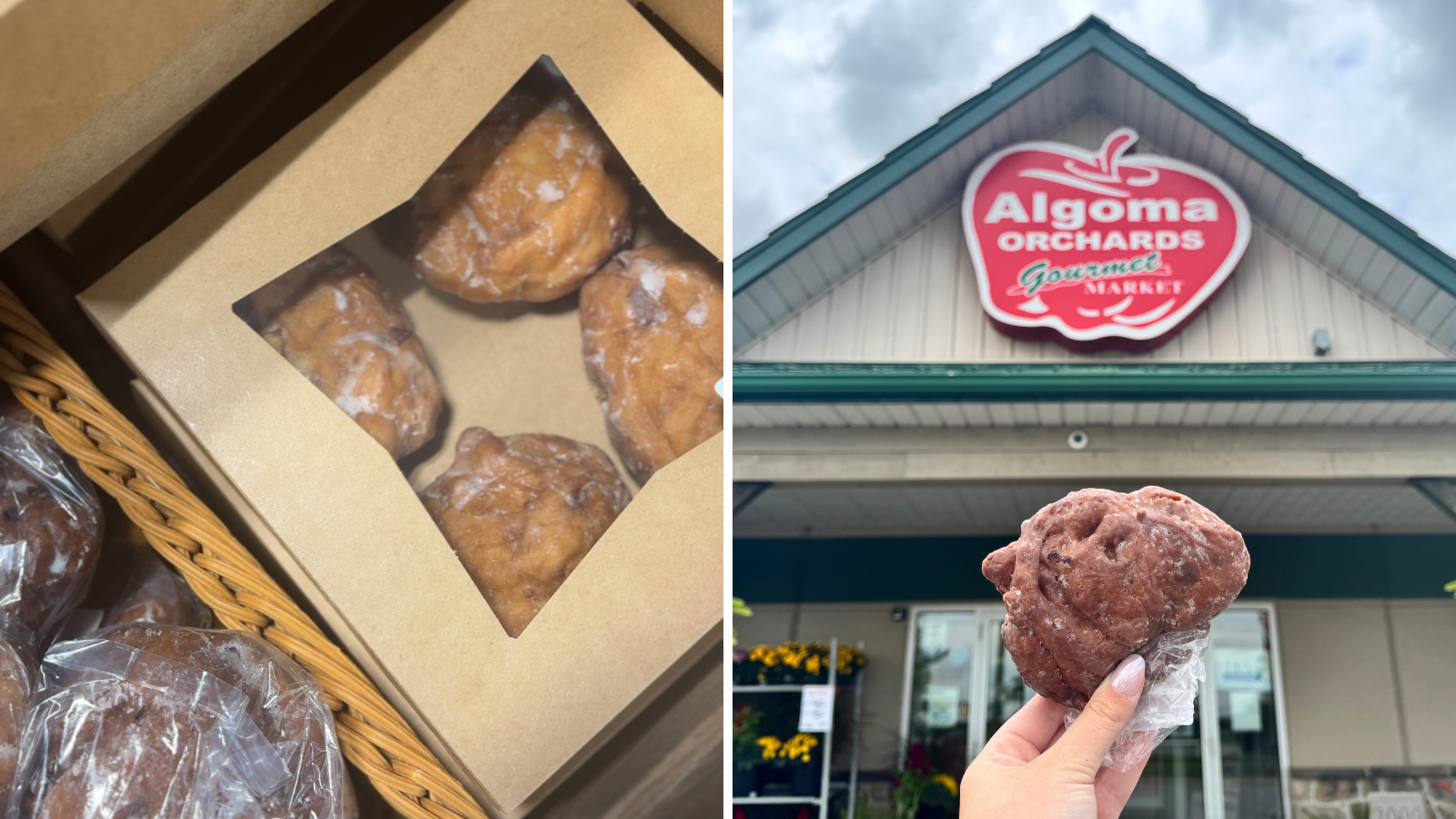 Apple fritters from Algoma Orchards in Newcastle, Ontario