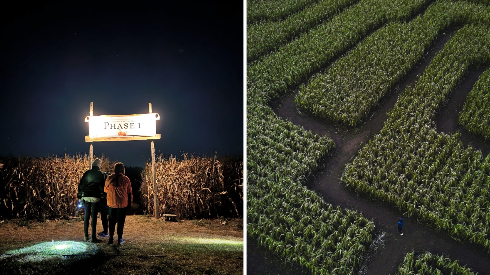 Collage of corn mazes in Durham Region, Ontario