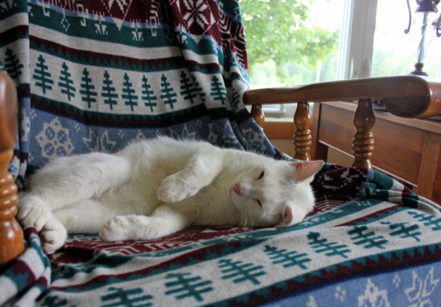 A cat sleeping on a wooden rocking chair that has a blanket on it.