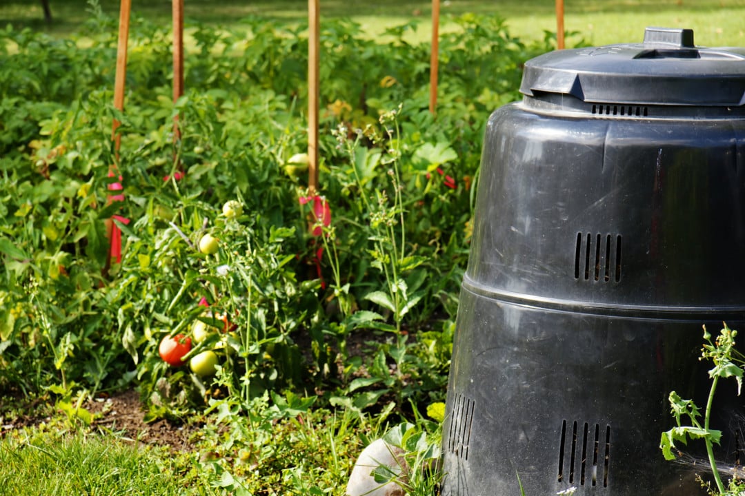 Image of backyard compost