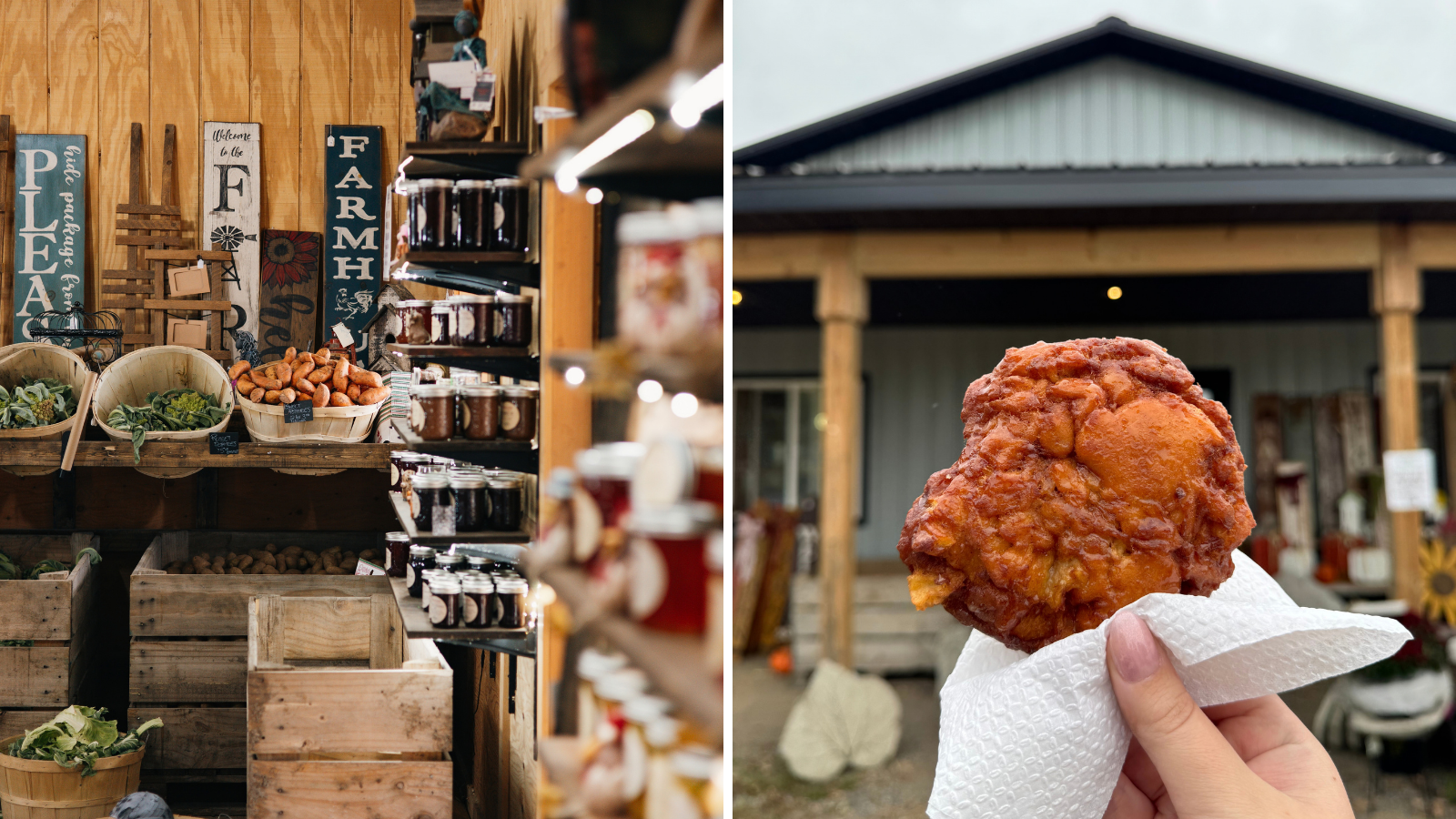 Apple fritters from Tindall Farm & Market in Uxbridge, Ontario