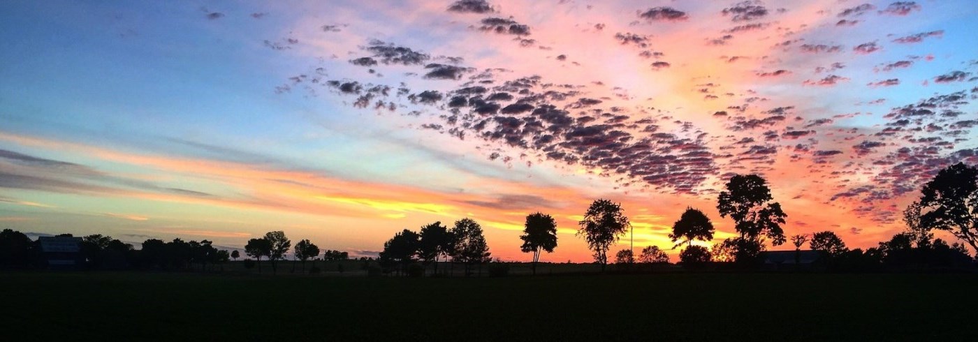 A vast landscape at sunset featuring a vibrant sky with shades of orange, pink, and blue. Scattered clouds add texture to the horizon. Silhouettes of trees line the horizon, creating a tranquil scene.