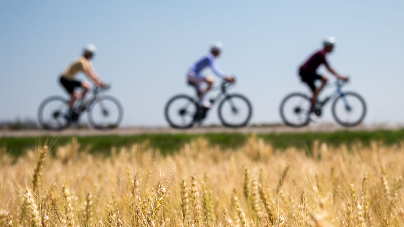 Three cyclists driving through Durham's countryside in Beaverton, Ontario