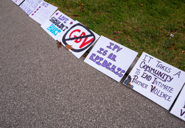 Signs lined up along a path for the IPV walk.