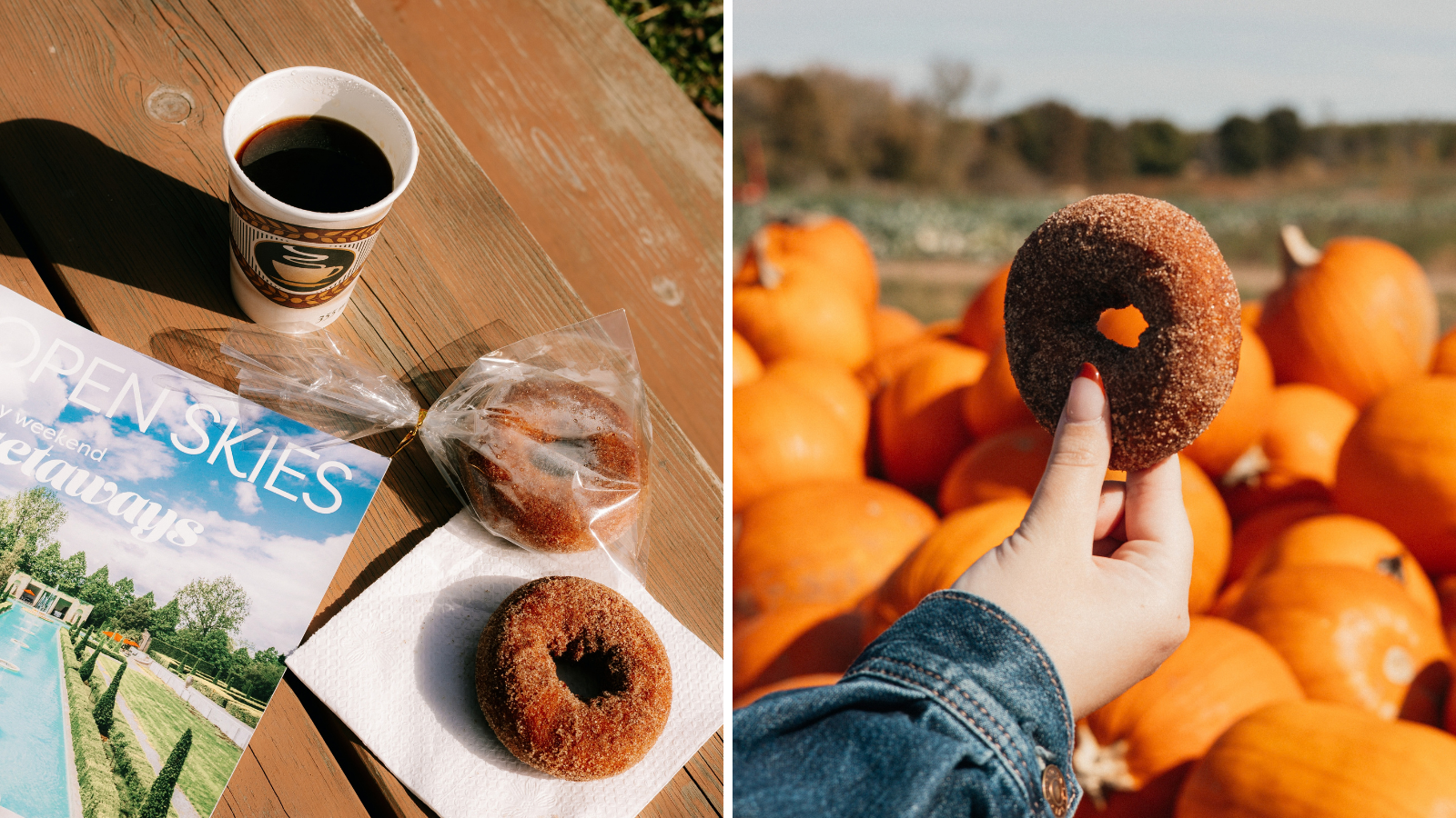 Open Skies Discovery Guide and apple cider doughnuts from Tindall Farm & Market in Uxbridge, Ontario