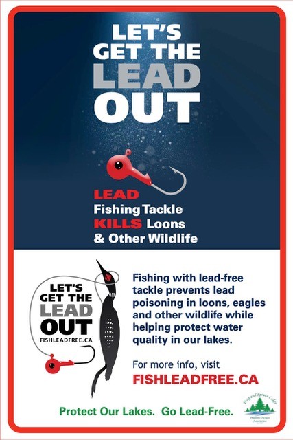 A poster describing the importance of using lead-free tackle.