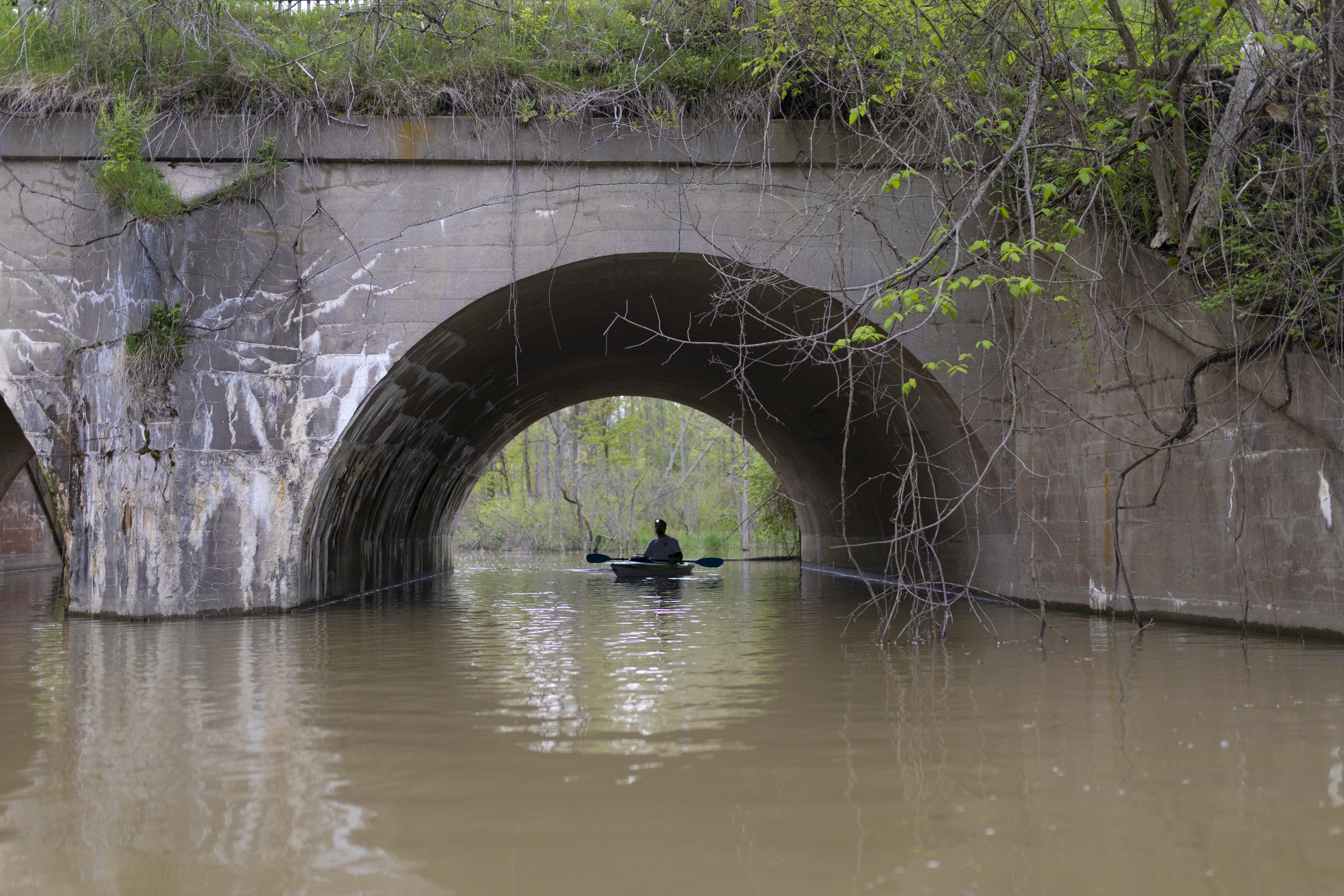 Someone kayaking in Cedar Creek