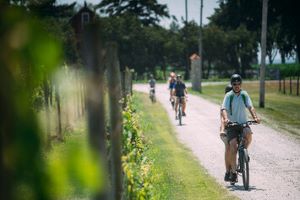Cycling