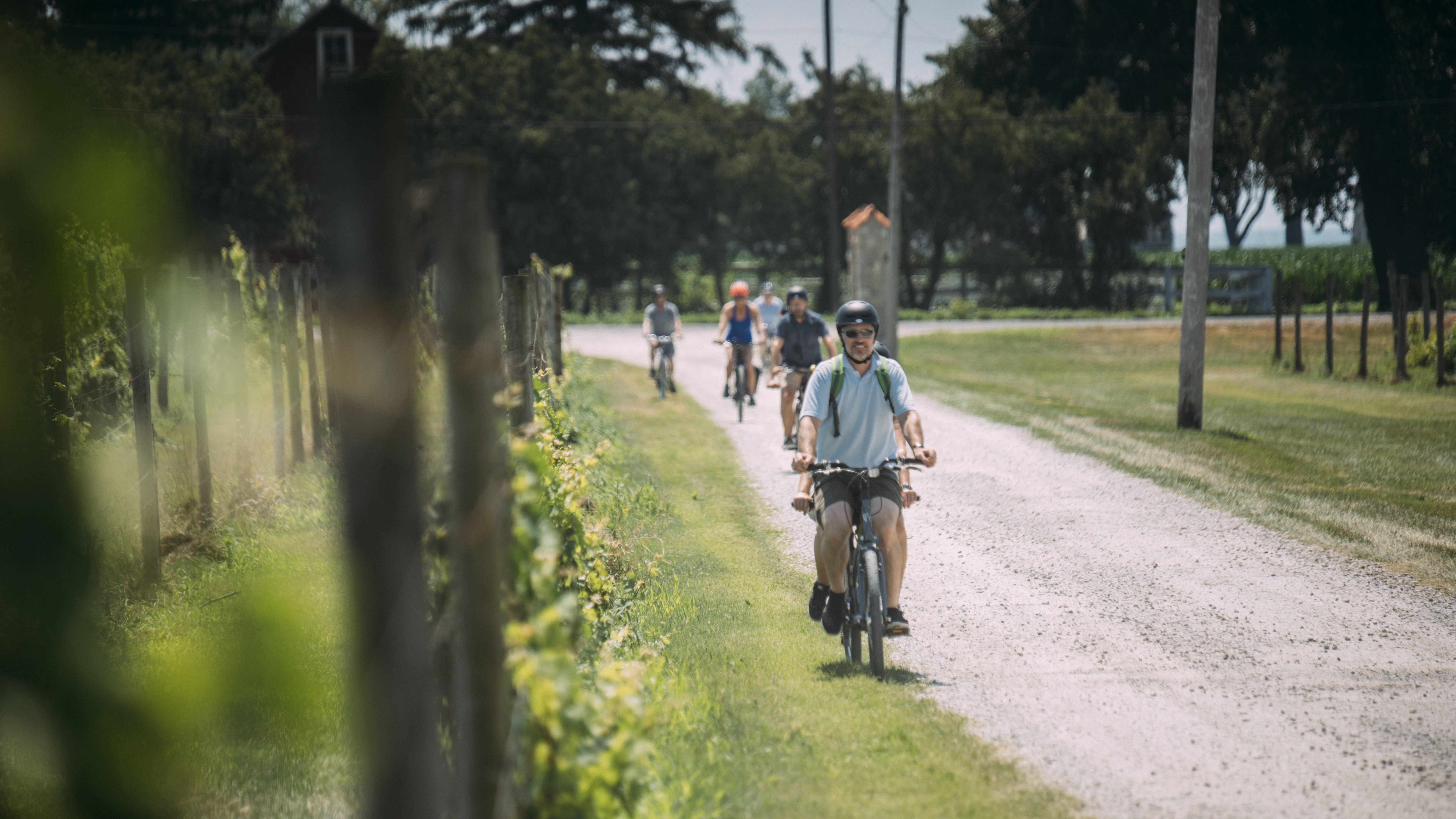 Group biking in wineries