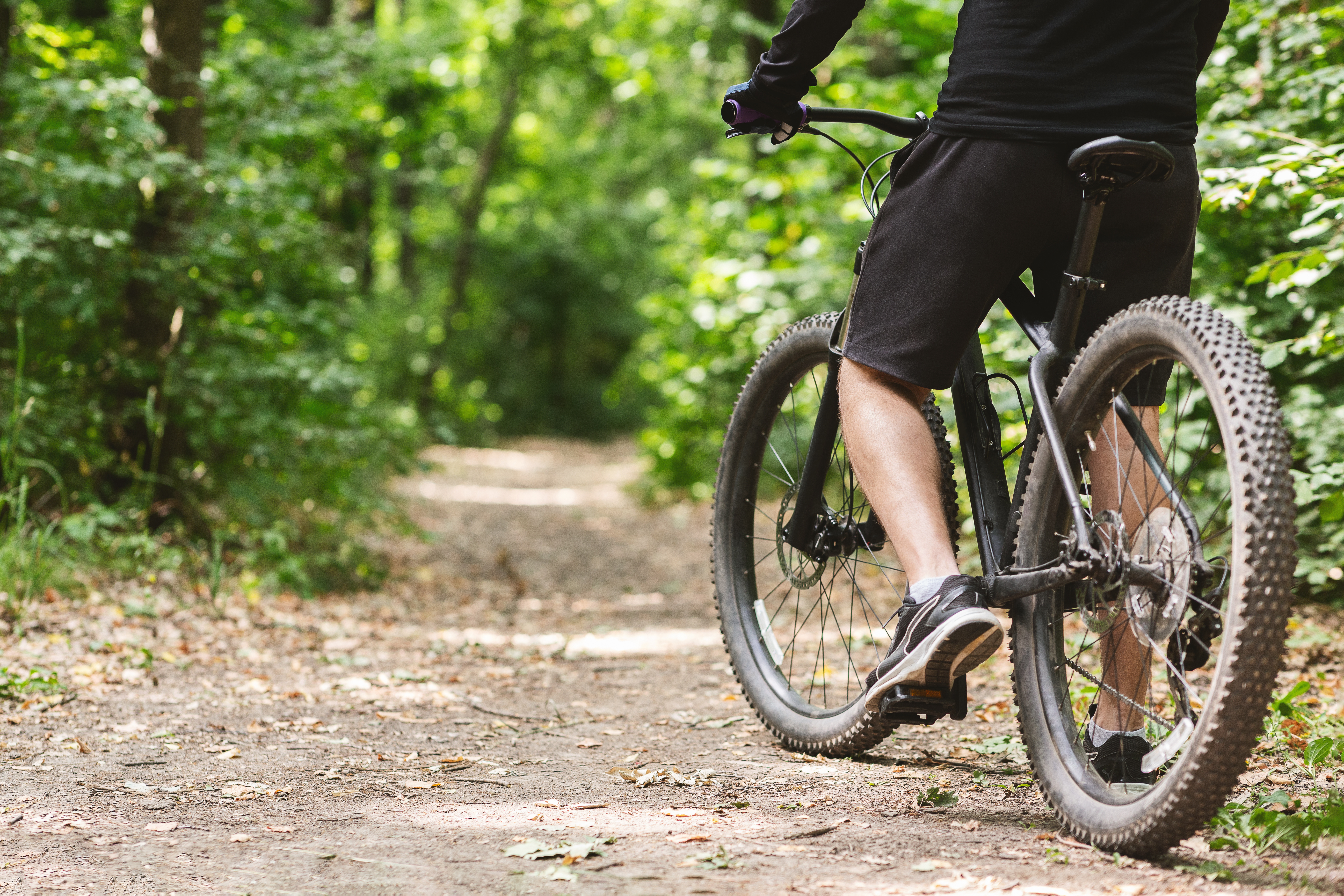 Bike rider on trail with trees on either side.