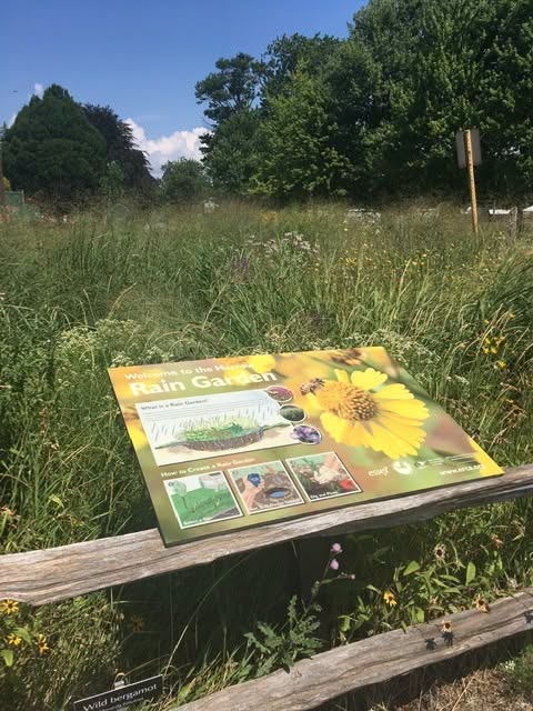 Rain Garden Sign