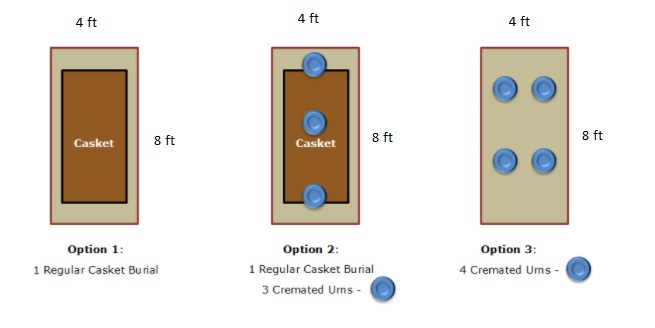 new-plot-image