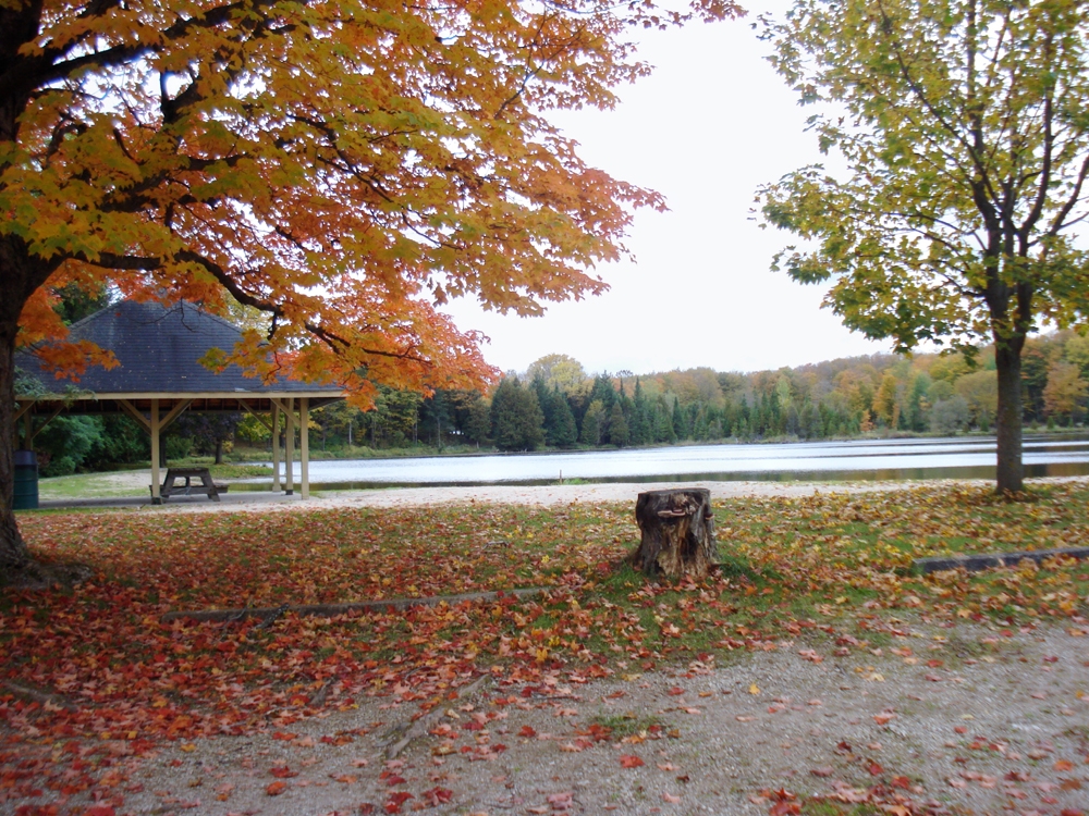 flesherton-pond-2