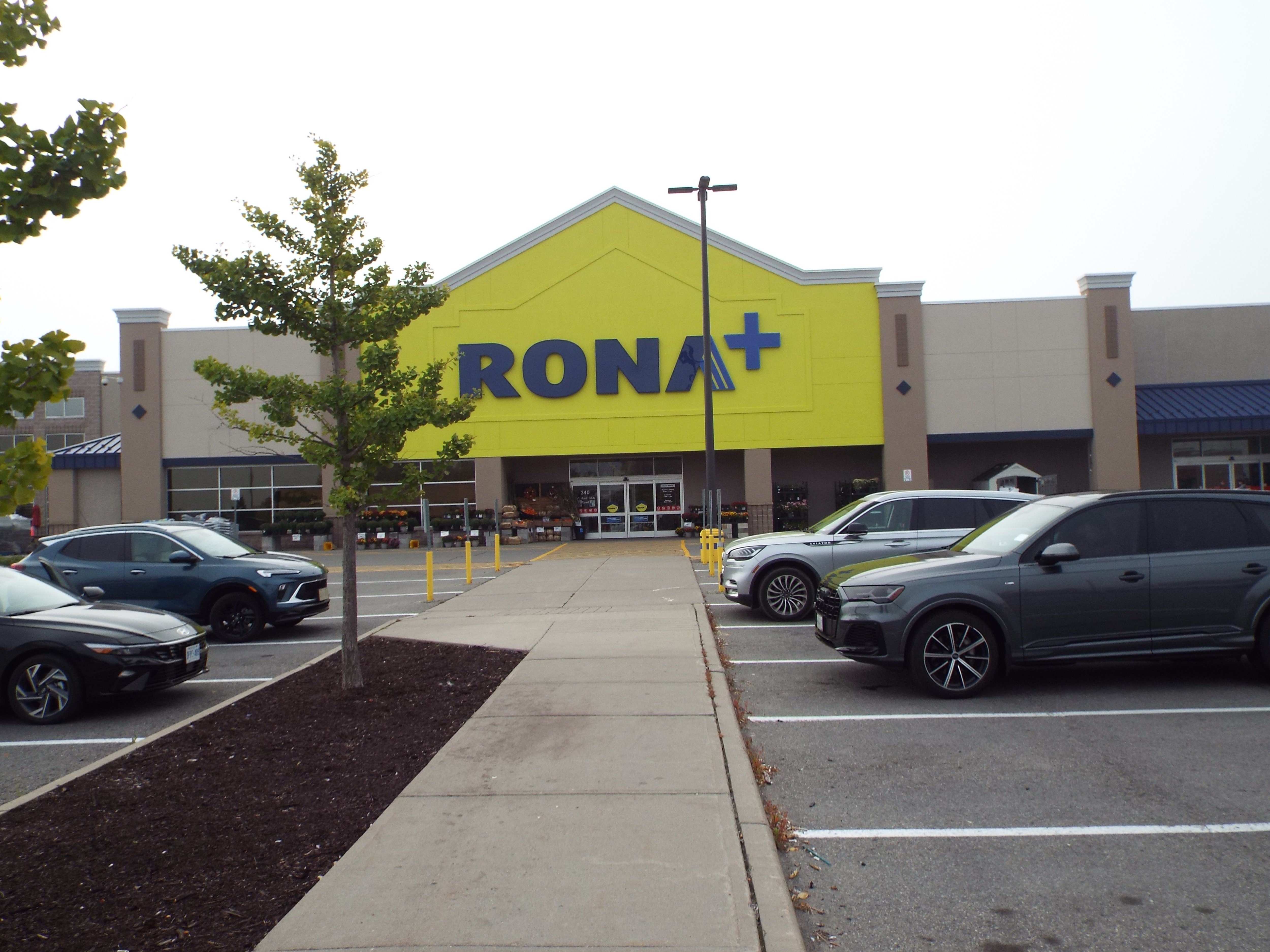 Rona Pro
