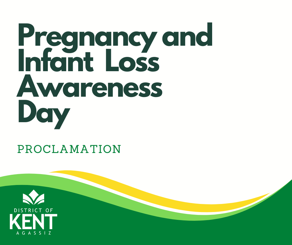 Graphic Proclaiming Pregnancy and Infant Loss Awareness Day