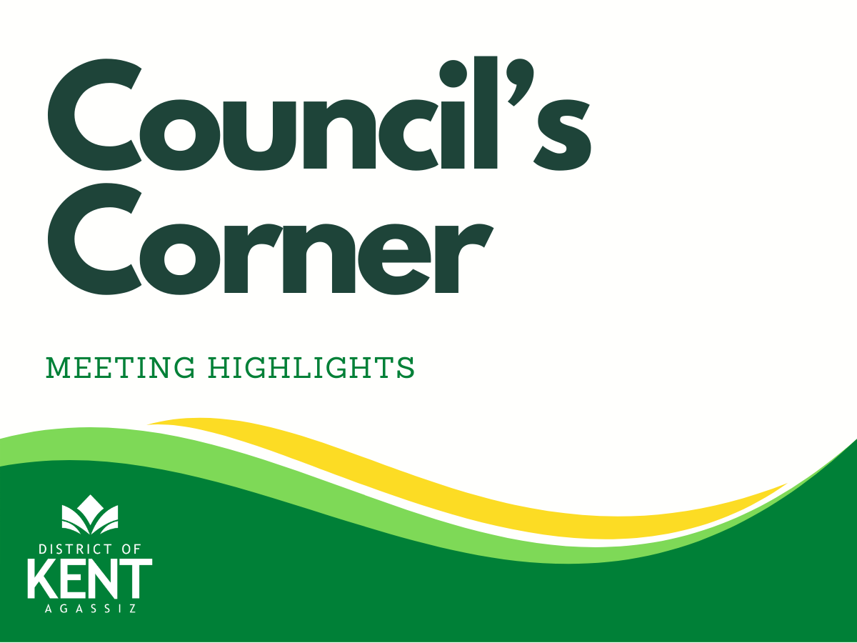Council's Corner