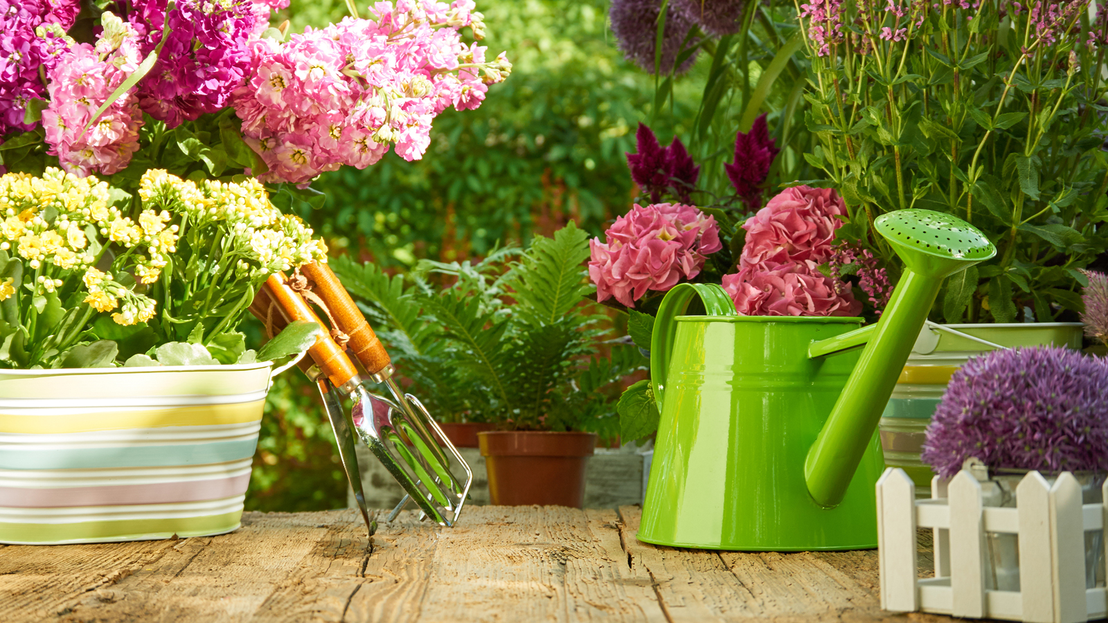 naturegarden-show.jpg