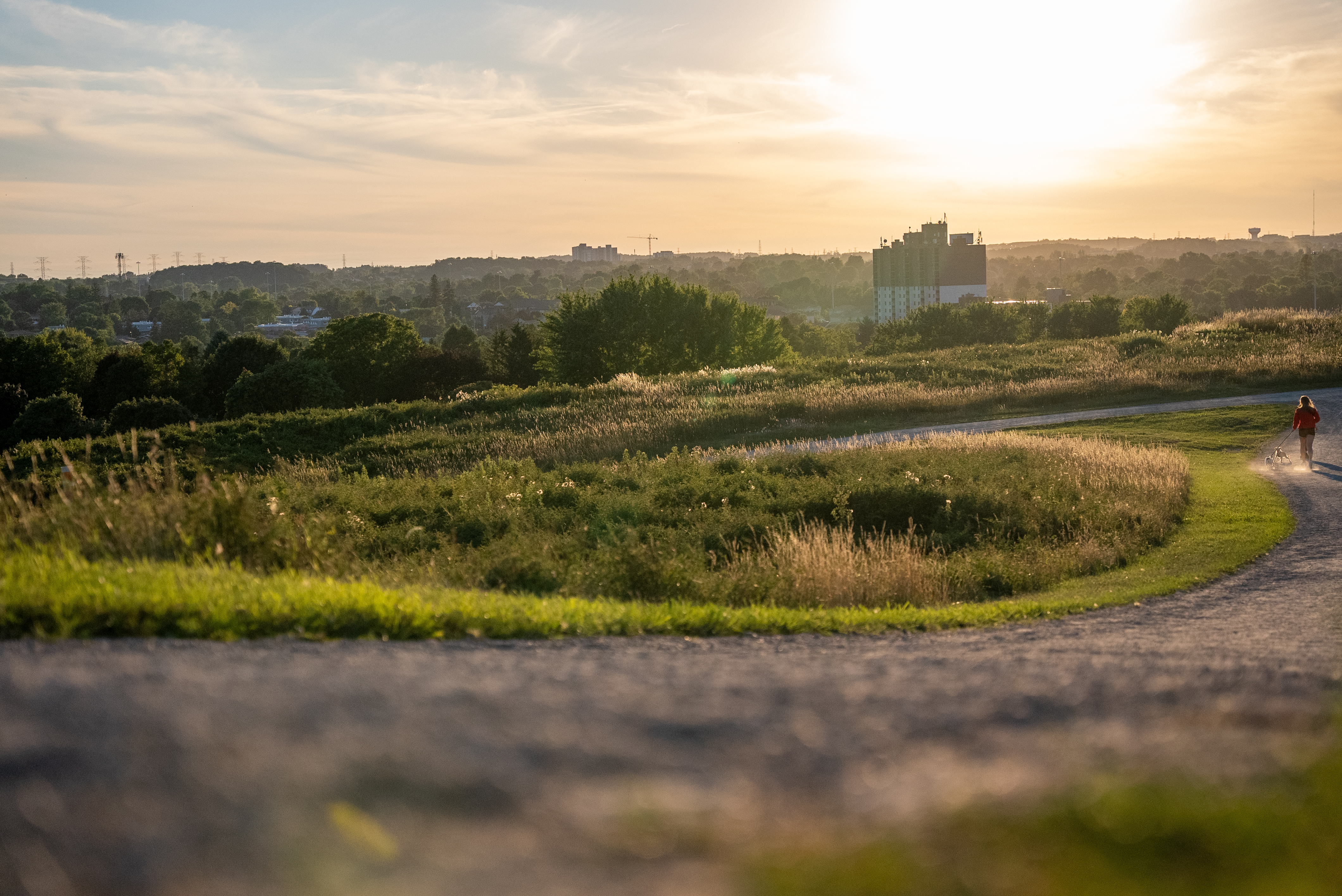 McLennan Park sunset