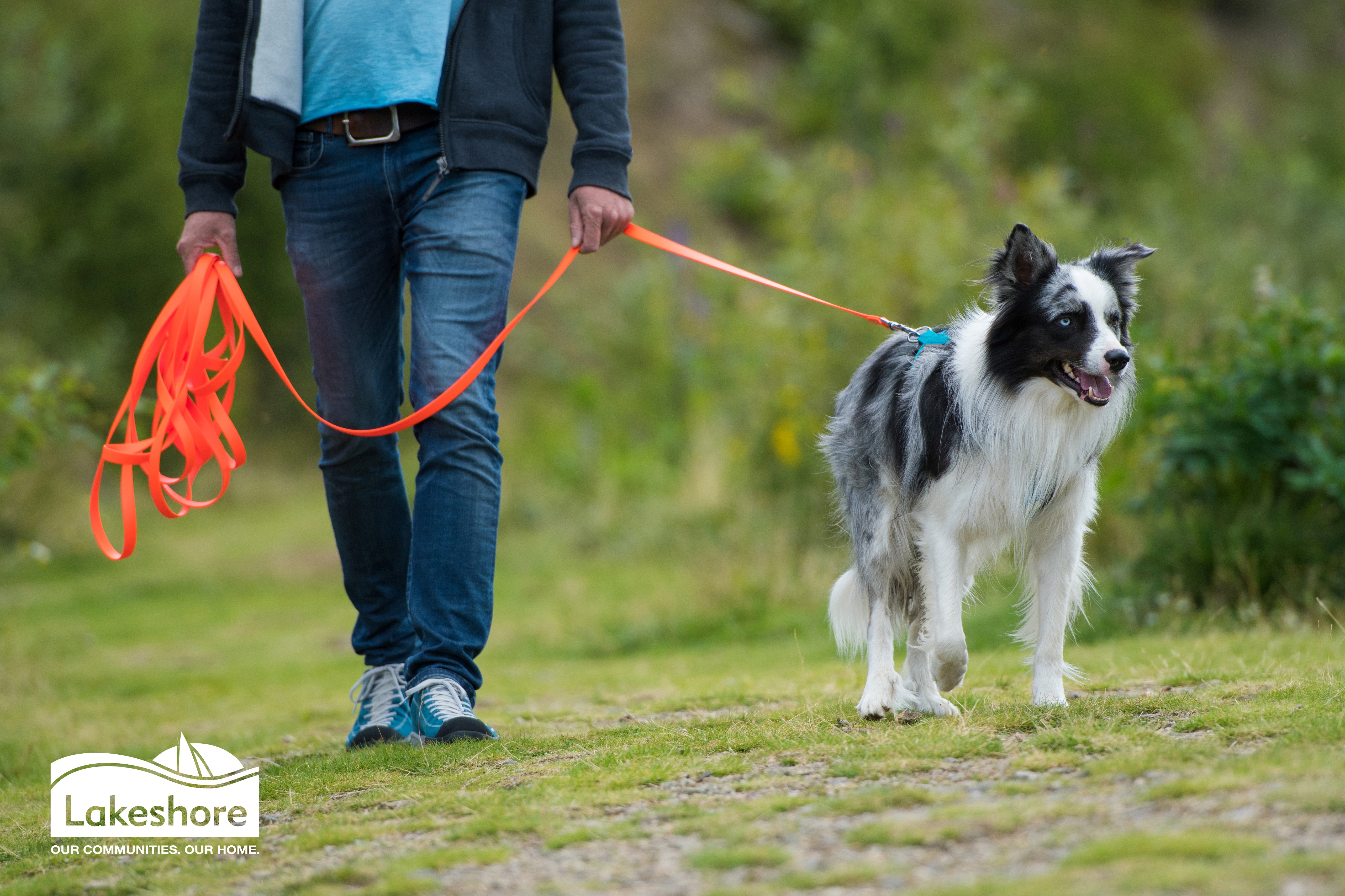 Owner and dog on leash on a walk.
