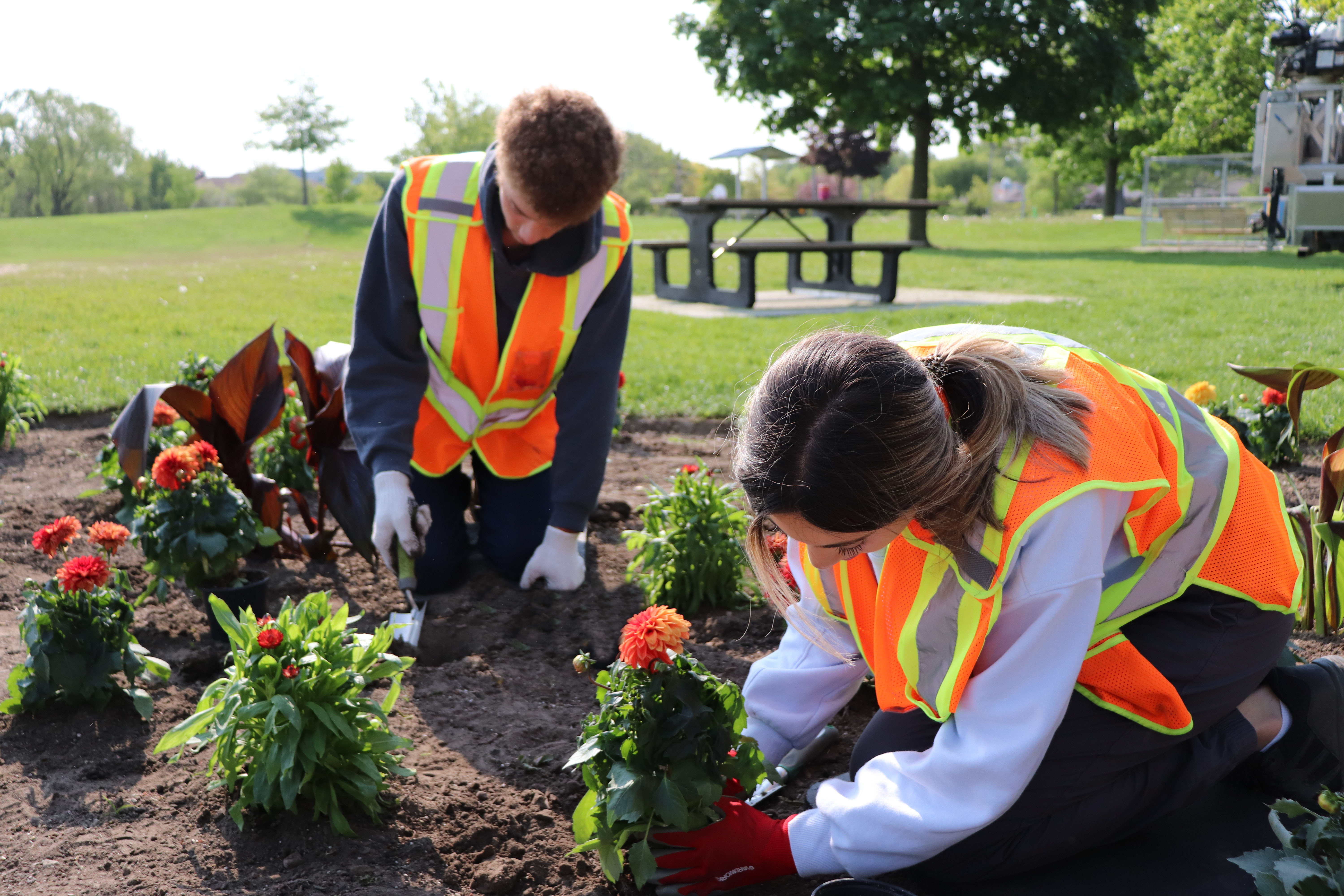 Flower Planting