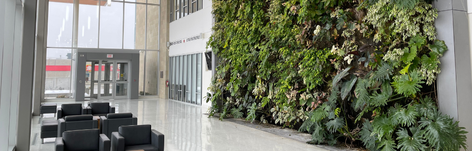 Living wall in municipal building