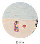 Emma's Sticker design