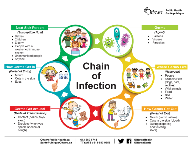 Chain of infection