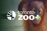 Toronto Zoo Pass Pic
