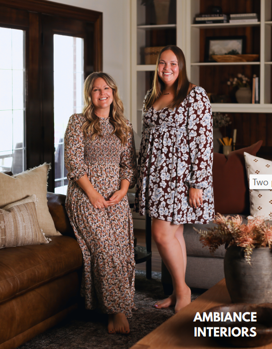 Ambiance Interiors Business Feature