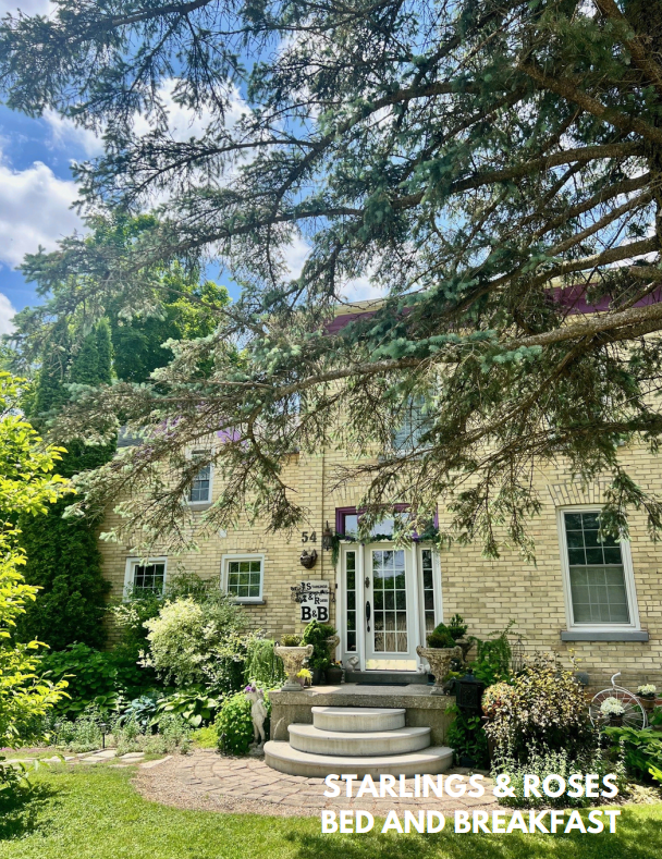 Starlings Roses BnB Business Feature
