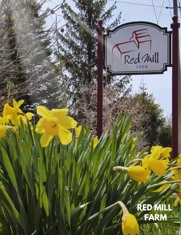 Red Mill Farm Business Feature