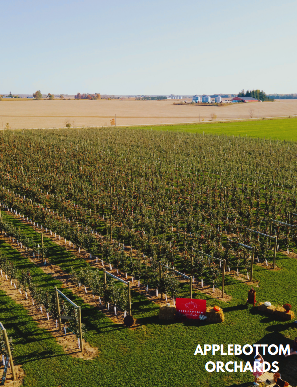 Applebottom Orchards Business Feature