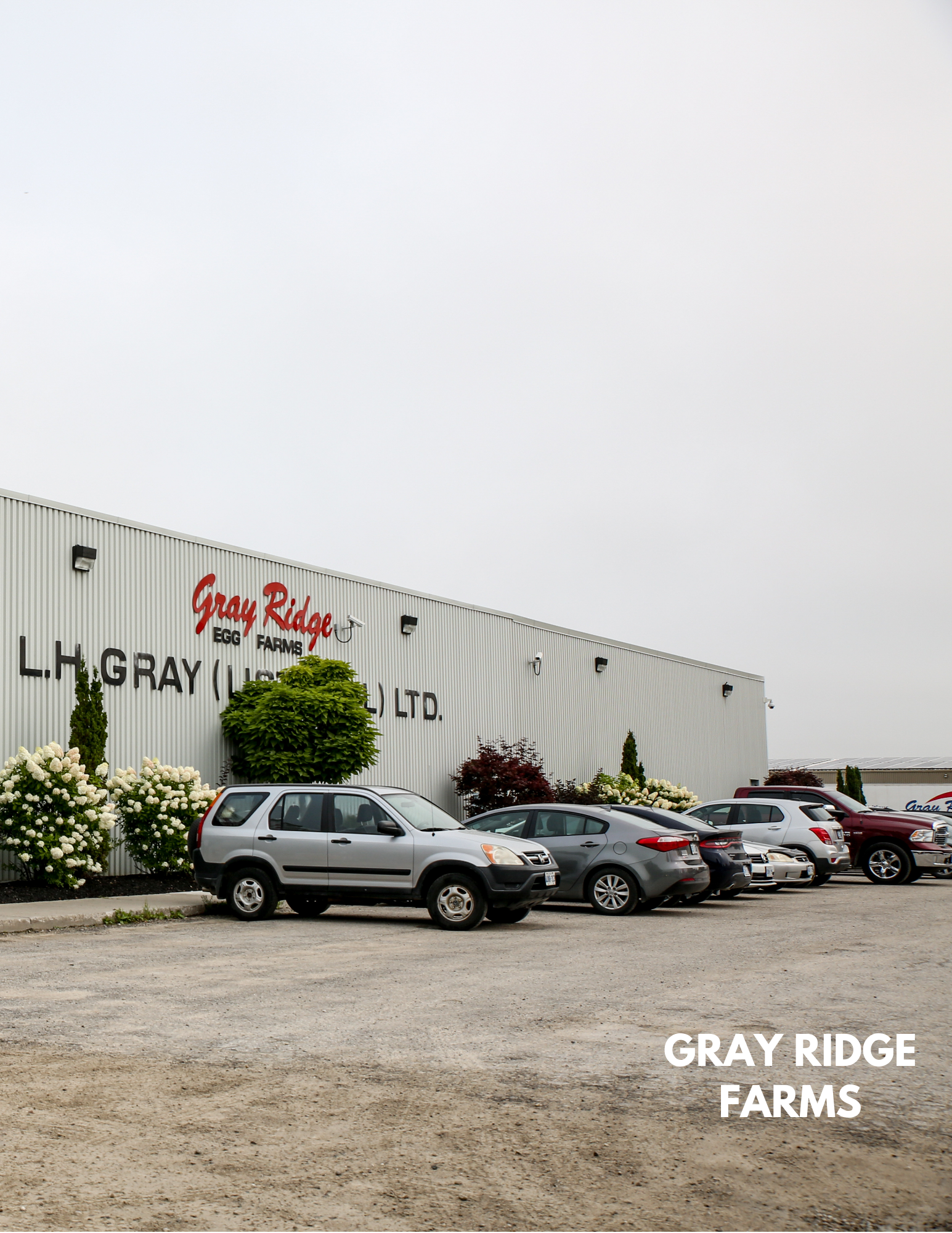 Gray Ridge Farms