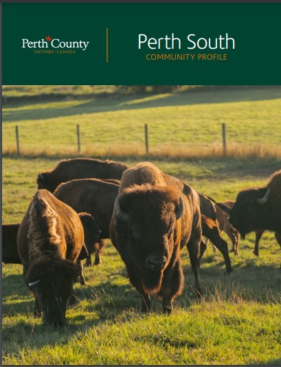 Perth South Profile Cover