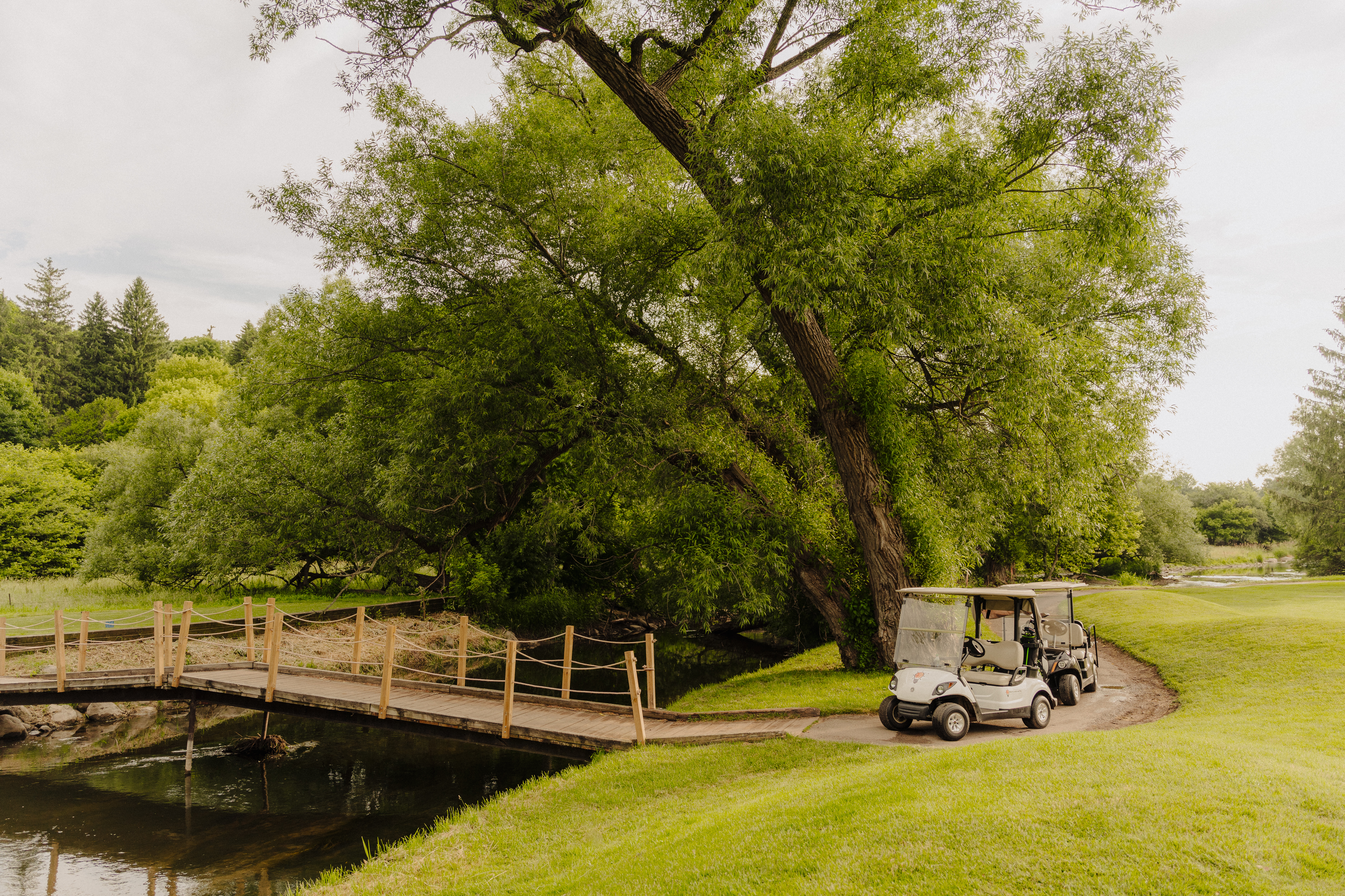 St. Marys Golf and Country Club Landscape