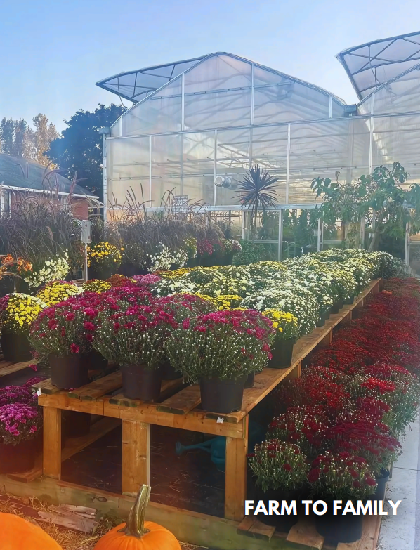 Farm to Family Business Feature