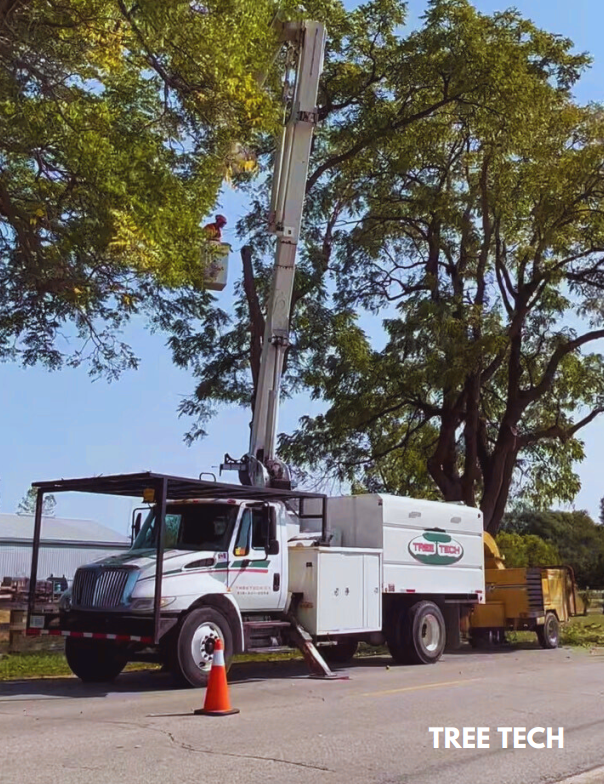Tree Tech Business Feature